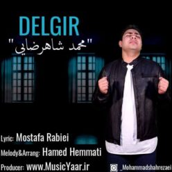 دانلود آهنگ محمد شاهرضایی دلگیر